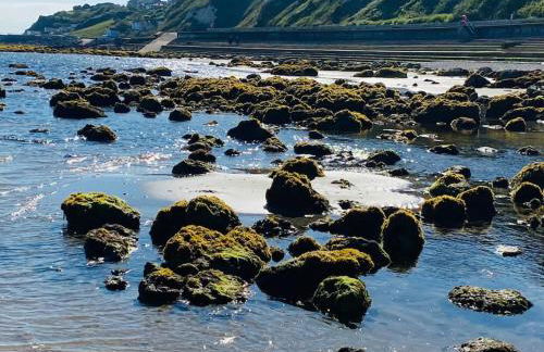 New Waverleys Retreat Stunning Loft Style Ventnor - Foto 43