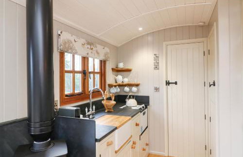 Little Silver Fox - Foto 11