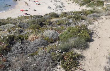 casa rosa nel residence mirice con piscina ,wifi,climatizzatore - vicino al mare - Photo 15