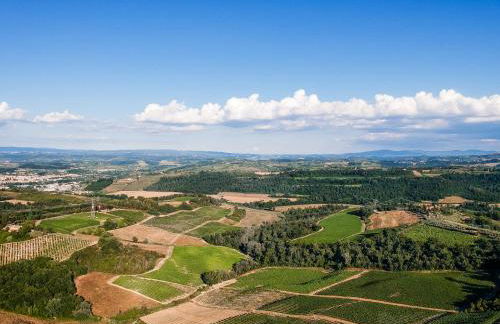 Il Leccio - Casa Toscana San Gimignano - Foto 51