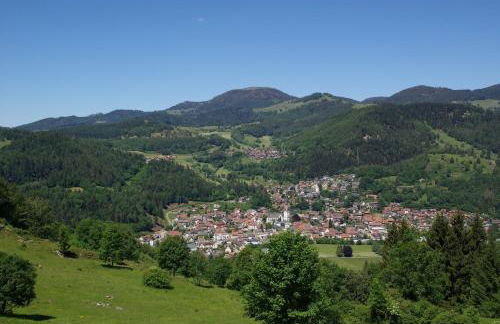 Haus Föhrenbach - Foto 20