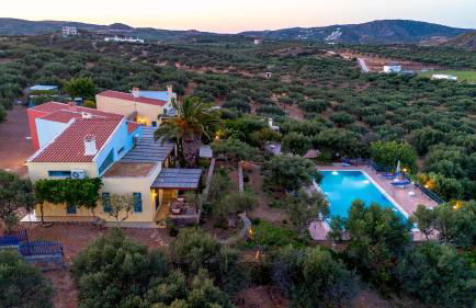 Olive Garden Houses - Photo 33