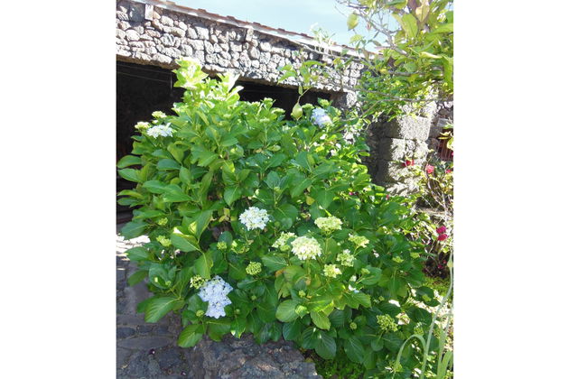 Aborigen Bimbache Casa Rural - Foto 29