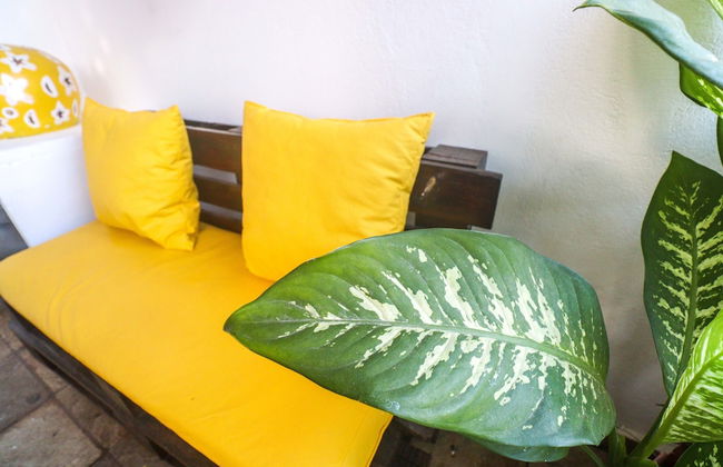 Apartamentos Pipa Centro - Foto 38