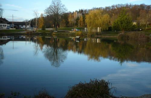 La Maison des Fontaines D'alsace - Foto 113