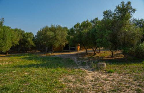 Ses Cases d'Alcudiola - Foto 66