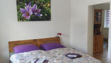 Ferienwohnungen am Safrangarten - Foto 5