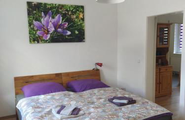 Ferienwohnungen am Safrangarten - Foto 5