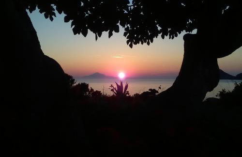 Enalion House - Photo 31