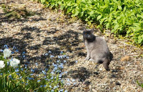 Cliff House Holiday Cottages - Foto 58