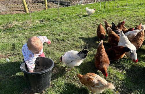 Sandy Cove Cottage - Foto 76