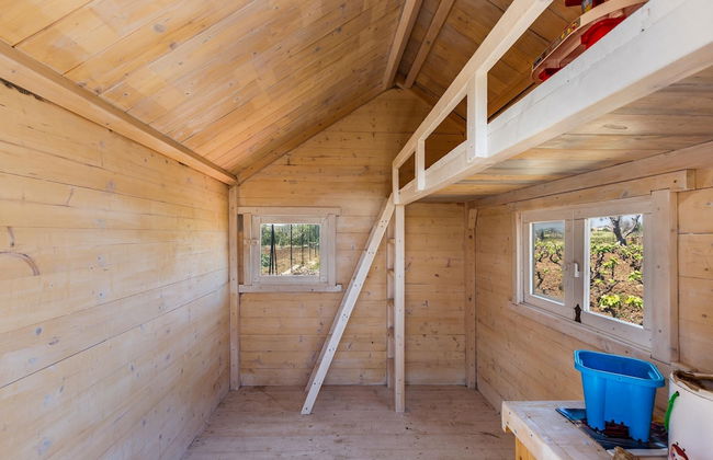 2340 Villa Il Neto by Perle di Puglia - Foto 9