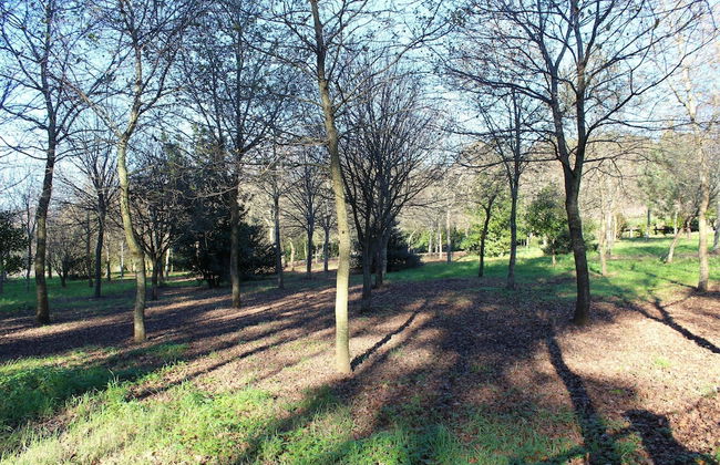 Cottage in Santa Comba With Pool - Foto 30