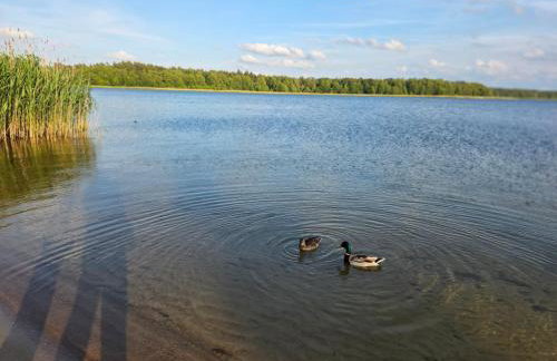 Domki Mazury z sauną i jacuzzi! - Foto 16