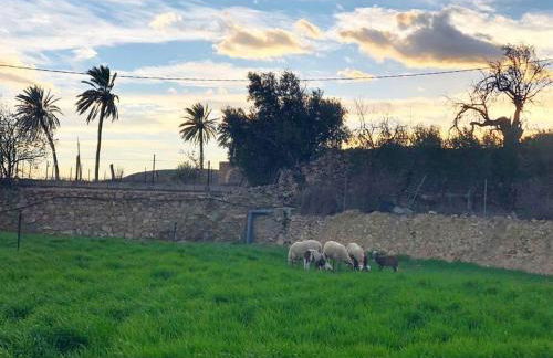 El Majuelo 2 - Foto 39