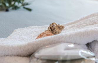 Dream House Efi - Foto 70