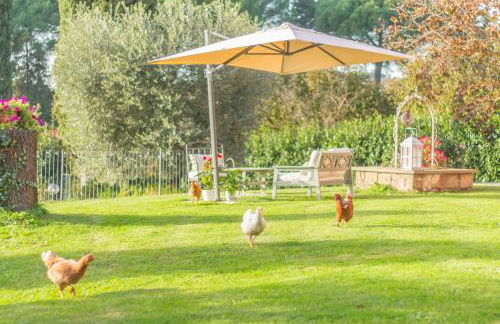 Ai due Cedri - Foto 15