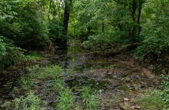 "Deer Creek Lodge" - Secluded Bourbon Trail Stay - Foto 38