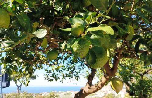 La Pigna Sorrento - Foto 22