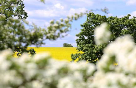 Ferienhaus Drebach - Foto 105