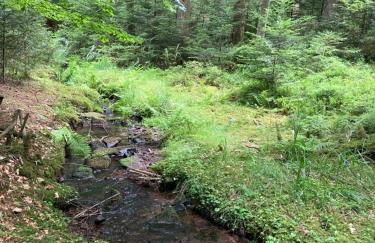 Ferienwohnung zum Wohlfühlen - Foto 22