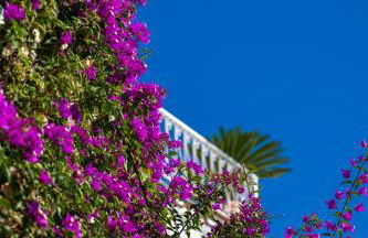 Casetta Arienzo - Foto 43