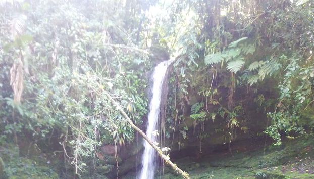 Une des cascades que vous verrez