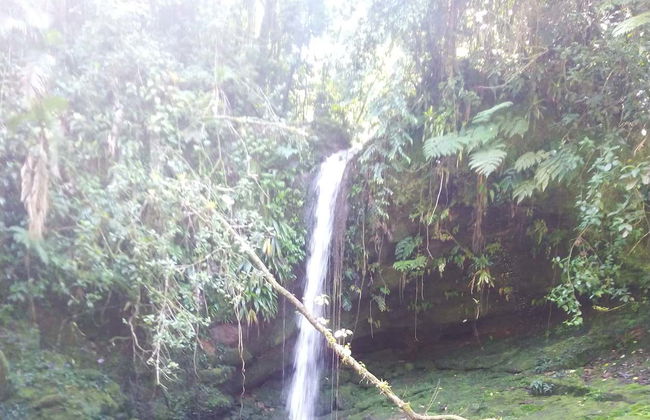 Senderismo por las cascadas de Ubatuba - Foto 3
