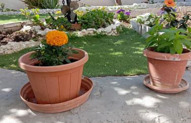 Alice apartment 2 - Foto 23