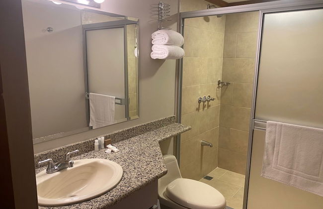 Apartotel & Suites Villas del Rio - Foto 41