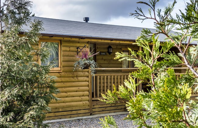 Laurel Lodge - Log Cabin - St Florence - Foto 24