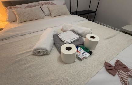 Pat Signature Stays - Photo 40