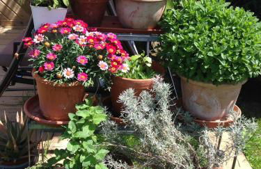 Augsburg-Bergheim E. - Foto 17