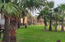 Beachfront Apartment La Manga - Foto 23