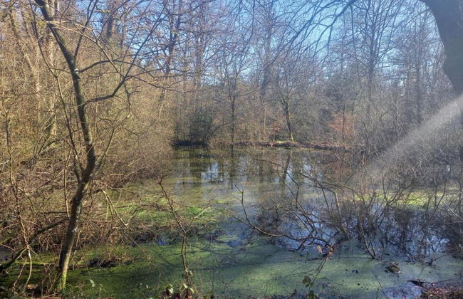 Cottage in Paliseul With Garden - Photo 26