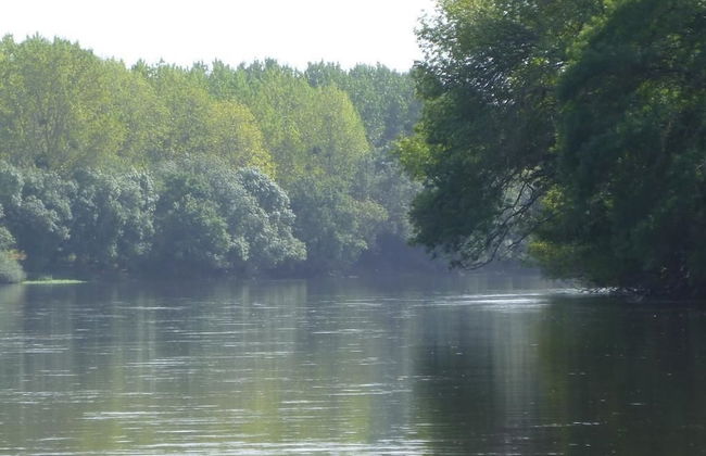 La Fauvette - Foto 13