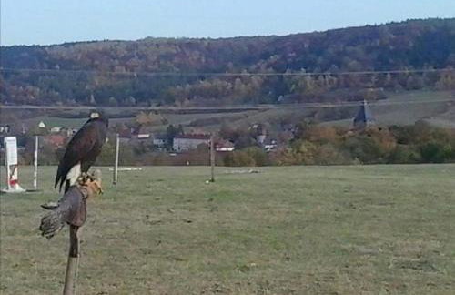 Ferienhaus Herztor - Foto 29