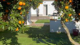 Paraíso a Dois em Estremoz - Foto 3, Garden view