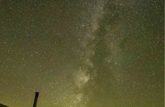 Taos Goji Farm & Eco-Lodge Retreat - Foto 41