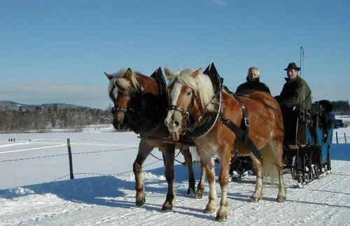 Landhaus Brigitte - Foto 13