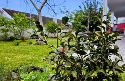 Casa do Seixal - Foto 18