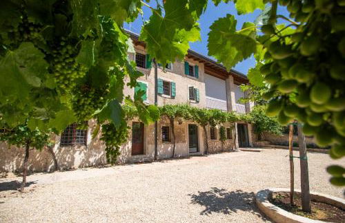 Agriturismo Locanda Case Vecie - Foto 19