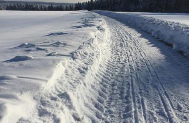 Ferienwohnung Pusteblume - Foto 59