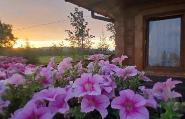 Tatra West Farm - Foto 54