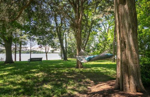 Baydream Believer - Foto 53