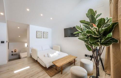 Bernabeu Roof Apartment in Madrid - Photo 31