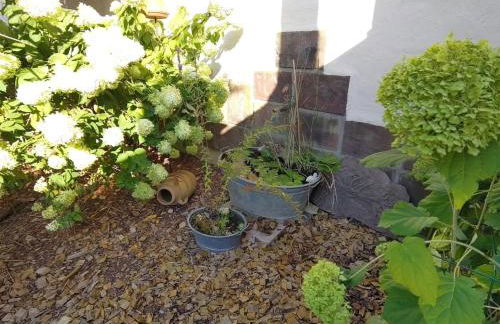 Studio Sorgenfrei - Foto 19