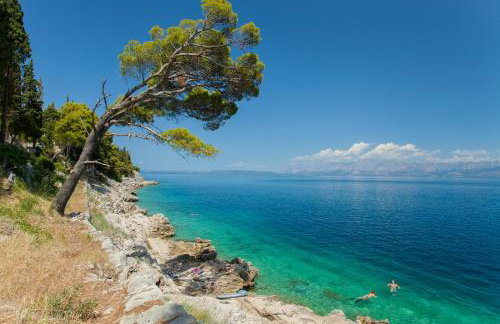 Apartment Villa Nede - Foto 58