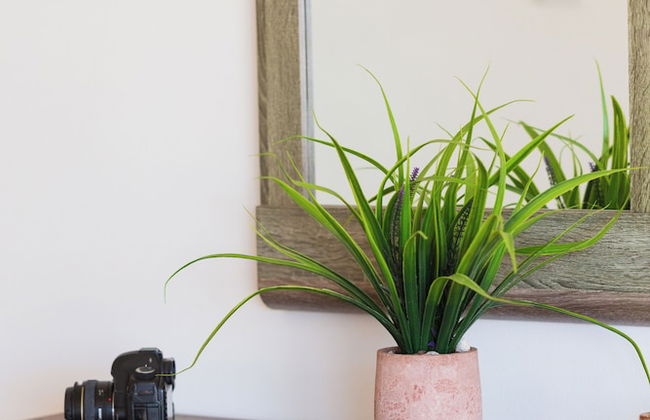 Artemis Cynthia Complex - Foto 59