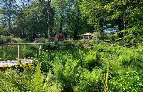 The Old Watermill - Foto 49